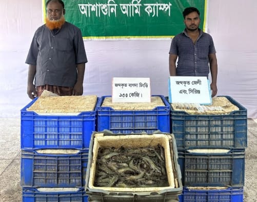 সাতক্ষীরার আশাশুনিতে সেনাবাহিনীর অভিযানে ১০০ কেজি মাছ জব্দ