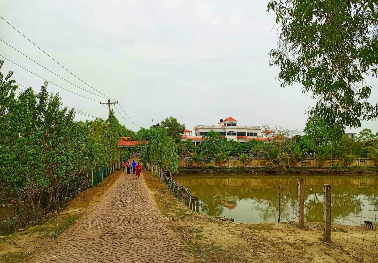 সাতক্ষীরার বরসা’ পরিচালনা কমিটির বিরুদ্ধে দেশত্যাগ, স্থাবর সম্পত্তি ও সম্পদ হস্তান্তরে নিষেধাজ্ঞা