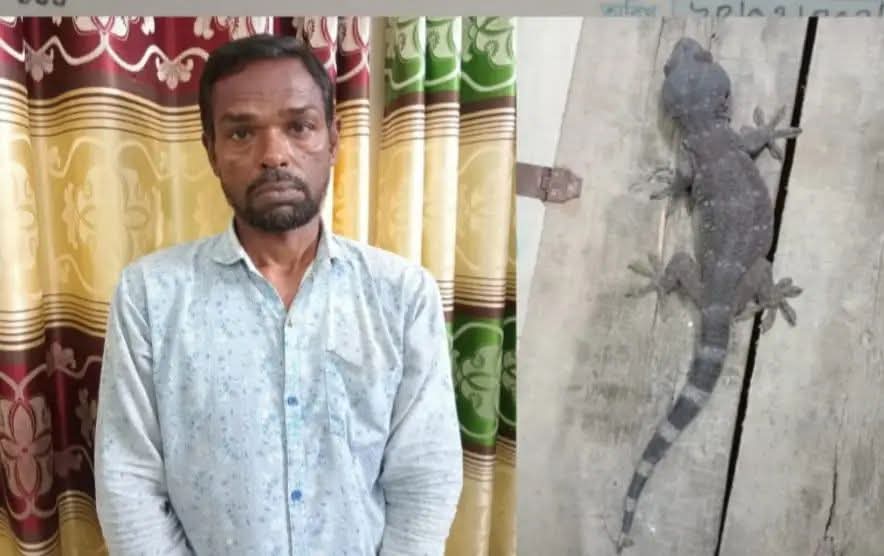 দেবহাটায় র‌্যাব-৬ এর অভিযানে তক্ষকসহ ১ জন আটক, থানায় মামলা