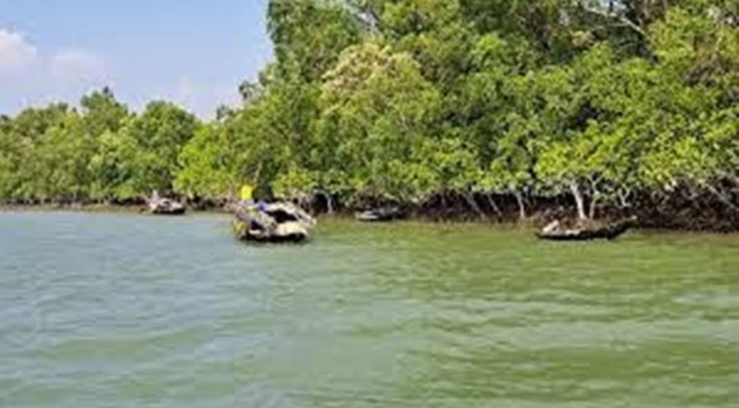 মুক্তিপণ দিয়ে লোকালয়ে ফিরেছেন সুন্দরবনে অপহৃত ৬ জেলে