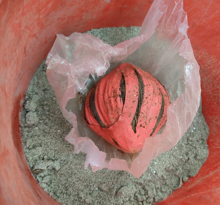 শার্শার গোগা কালিয়ানী গ্রাম থেকে ককটেল উদ্ধার।