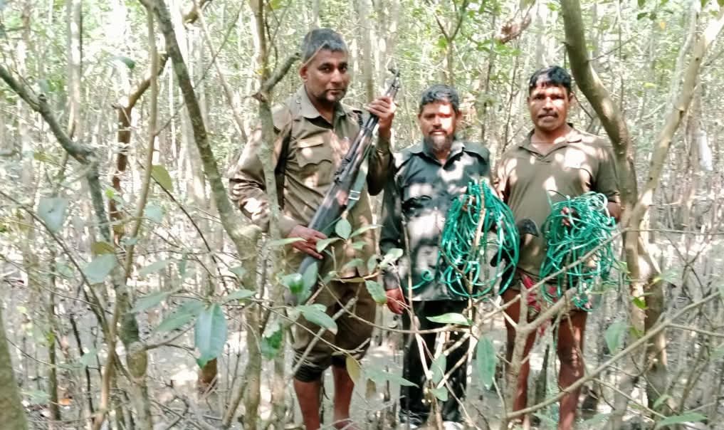 সাতক্ষীরার সুন্দরবনে ৪২ টি হরিণ ধরার ফাঁদ উদ্ধার