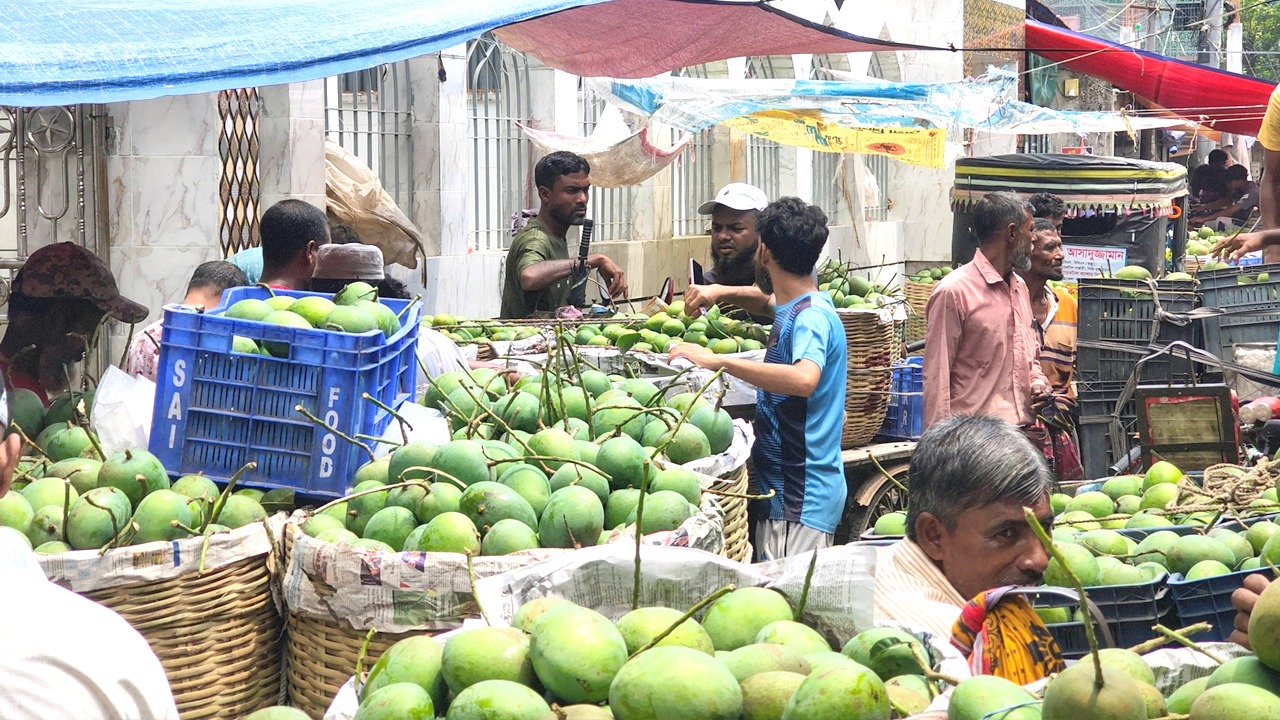 দেশসেরা সুস্বাদু আমে সয়লাব সাতক্ষীরার বাজার: গোবিন্দভোগ প্রতিমণ ১৬০০ টাকা