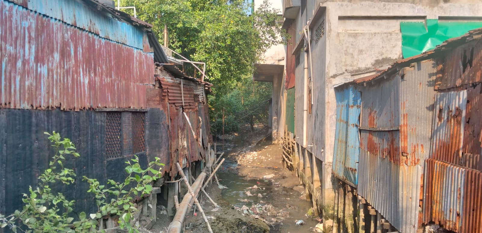 বর্ষার আগেই মোংলার ঠাকুরানী খাল উদ্ধার করা হবে….পরিবেশ প্রতিমন্ত্রী