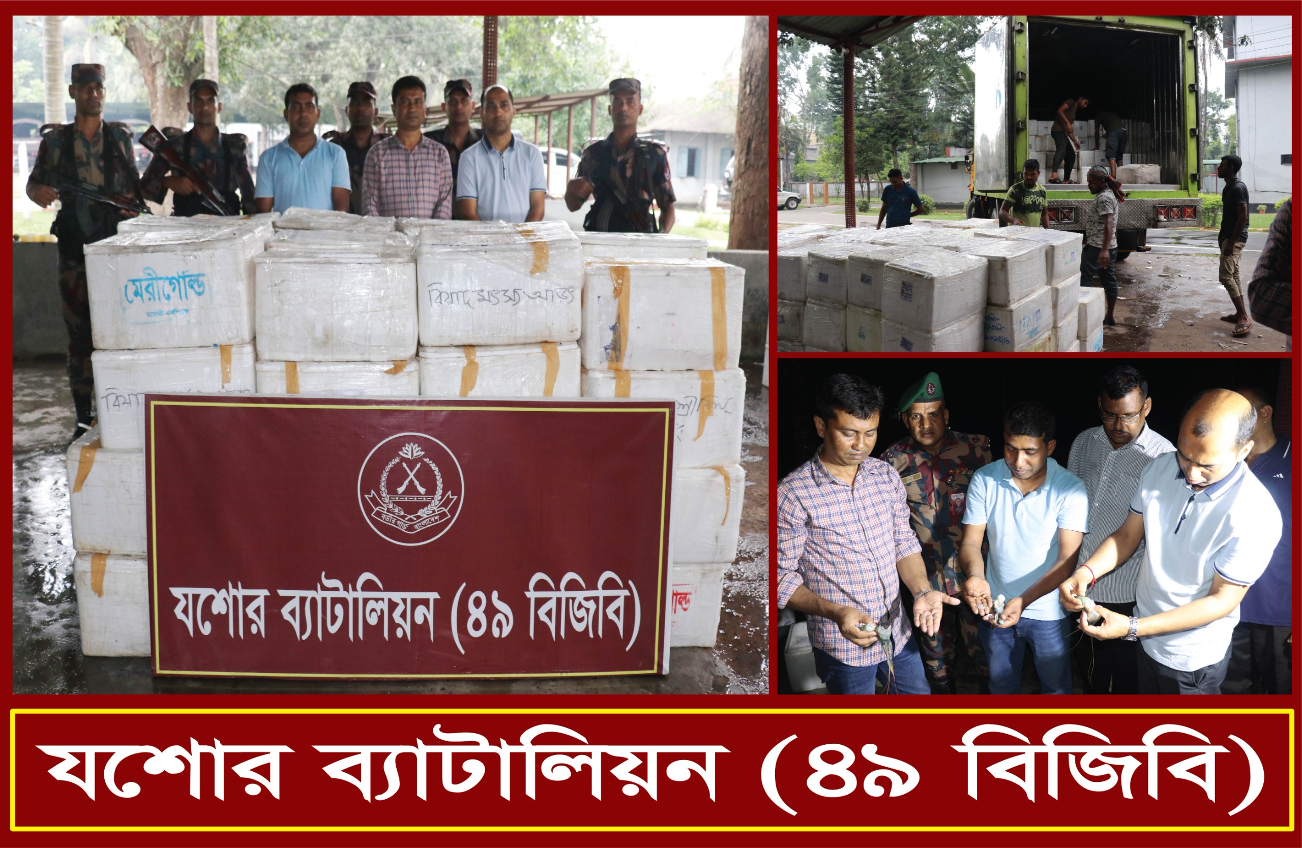 যশোর ব্যাটালিয়ন ৪৯ বিজিবির অভিযানে জেলি পুশকৃত চিংড়ি মাছের চালান আটক।