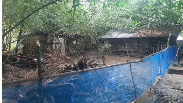 কালিগঞ্জে ৬টি হিন্দু পরিবারকে অস্ত্রের মুখে জিম্মি করে ২৫ শতক জমি দখল সাইফুল বাহিনীর
