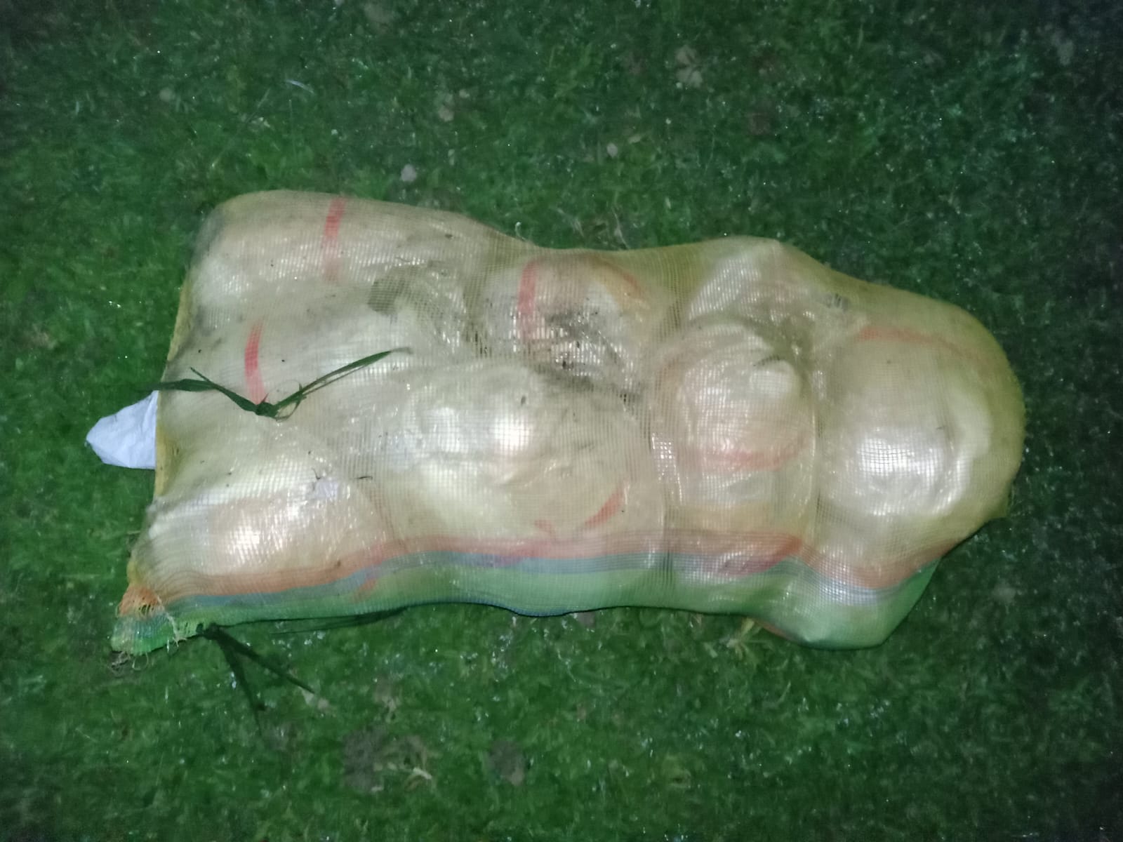 শিকারপুর সীমান্ত থেকে ২০ কেজি ভারতীয় গাঁজা আটক।